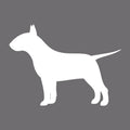 Bull Terrier Embroidered AKC Men's Polo