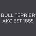 Bull Terrier  Embroidered AKC Women's Polo