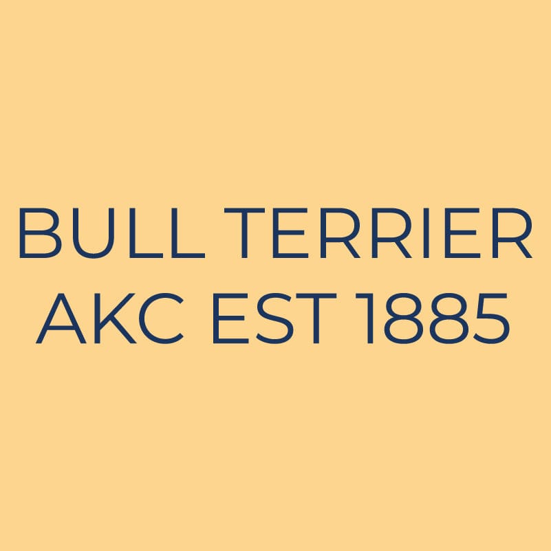 Bull Terrier Embroidered AKC Quarter Zip
