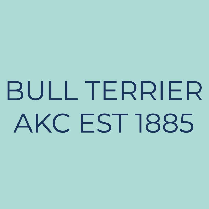 Bull Terrier Embroidered AKC Quarter Zip