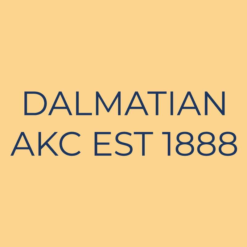 Dalmatian Embroidered AKC Quarter Zip