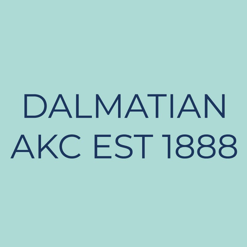 Dalmatian Embroidered AKC Quarter Zip