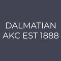 Dalmatian Embroidered AKC Quarter Zip