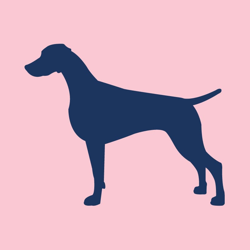 Weimaraner Infant Onesie