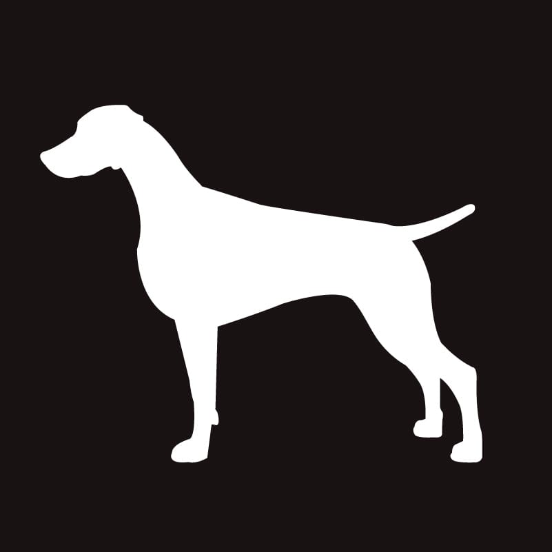Weimaraner AKC Embroidered Visor