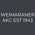 Weimaraner  Embroidered AKC Women's Polo