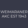 Weimaraner  Embroidered AKC Women's Polo