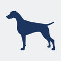 Weimaraner  Embroidered AKC Women's Polo