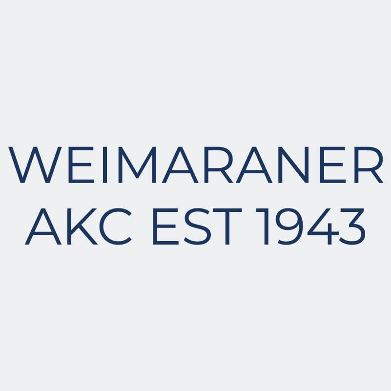 Weimaraner  Embroidered AKC Women's Polo