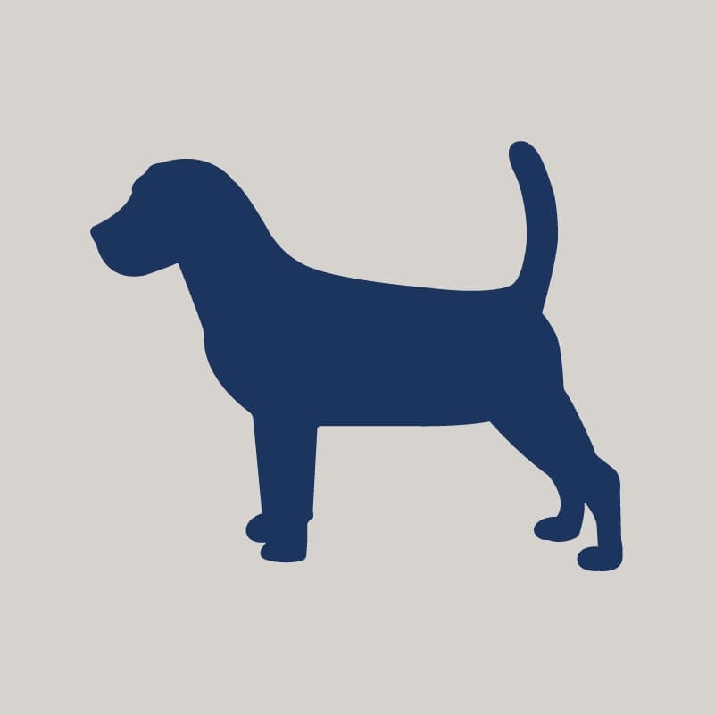 Beagle AKC Embroidered Visor