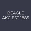 Beagle Embroidered AKC Women's Polo