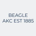 Beagle Embroidered AKC Women's Polo