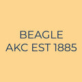 Beagle Embroidered AKC Quarter Zip