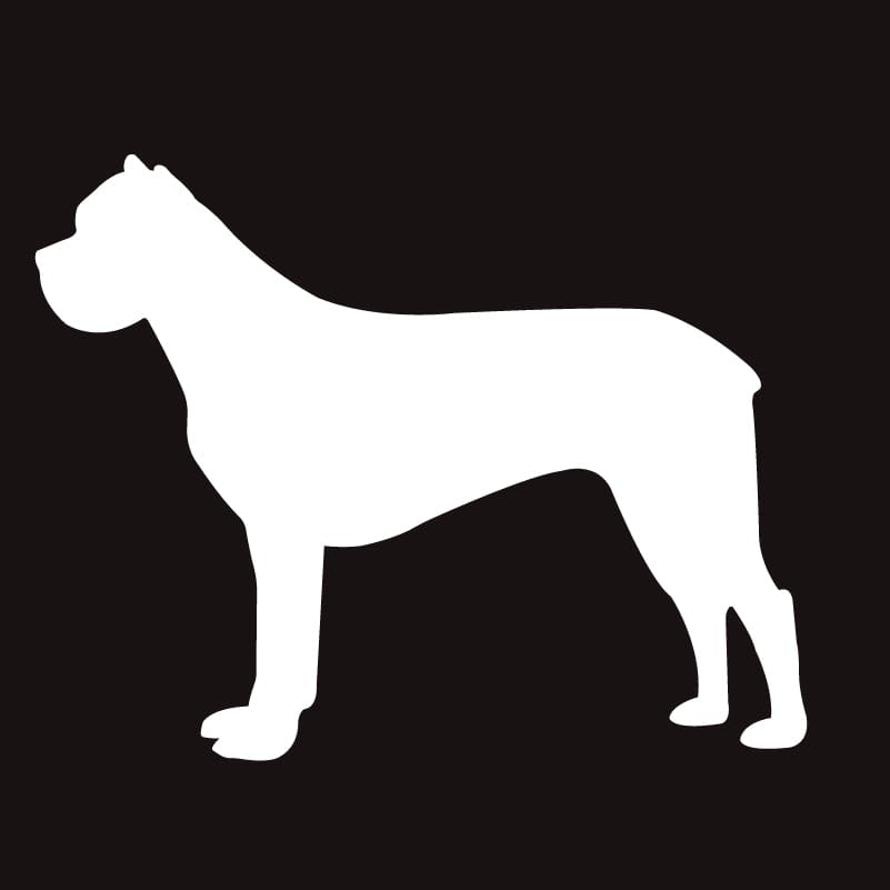 Cane Corso AKC Embroidered Visor