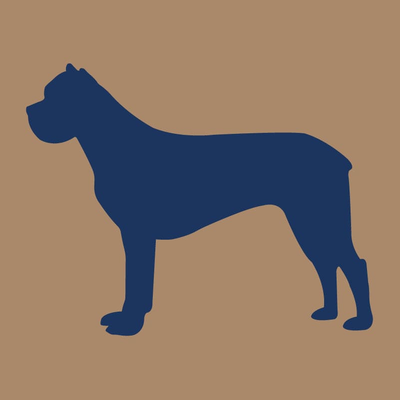 Cane Corso AKC Embroidered Visor