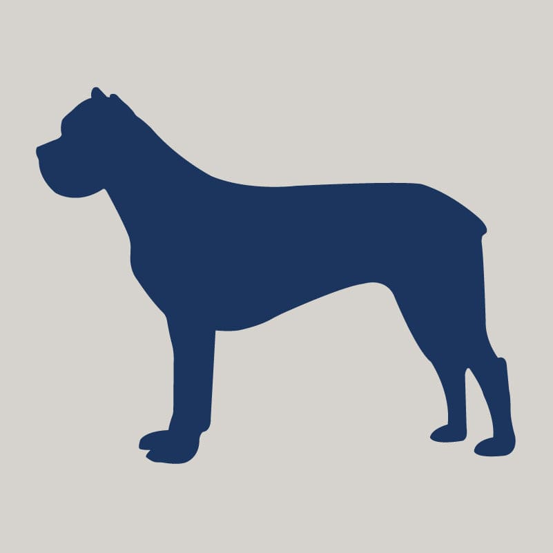 Cane Corso AKC Embroidered Visor