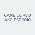 Cane Corso Embroidered AKC Women's Polo