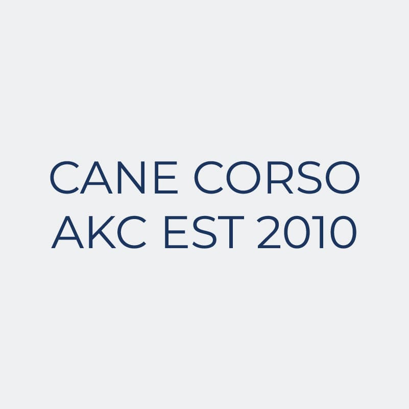 Cane Corso Embroidered AKC Women's Polo