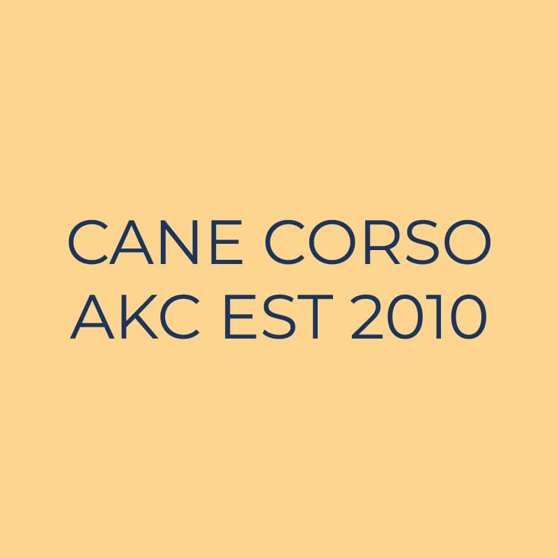 Cane Corso Embroidered AKC Quarter Zip