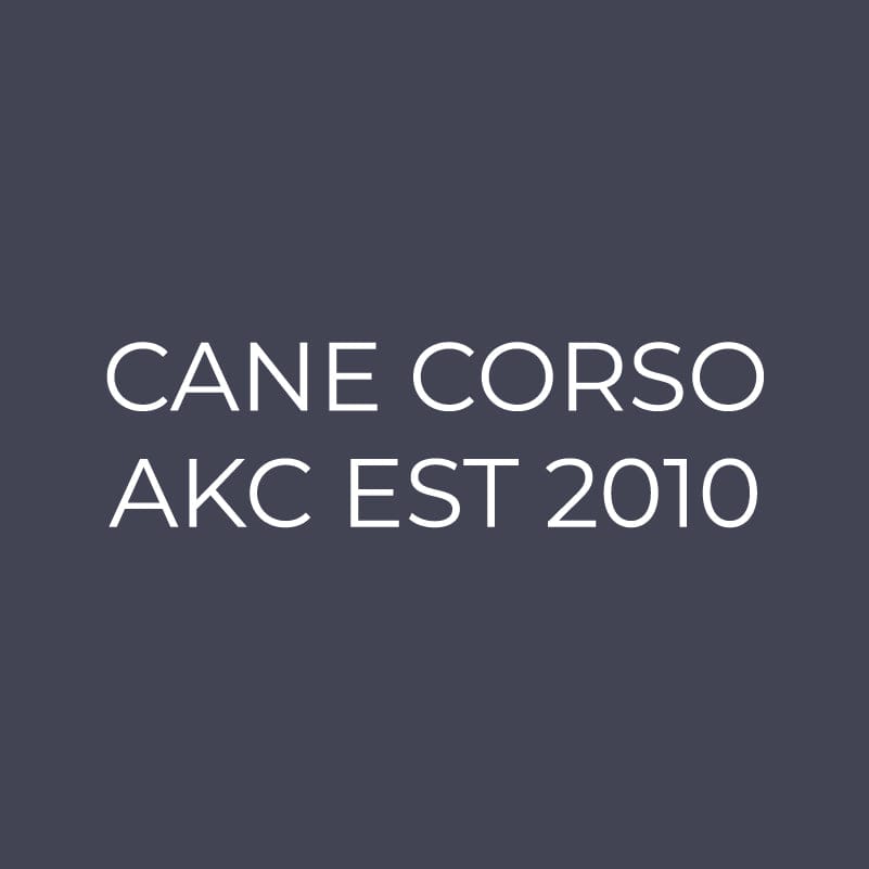 Cane Corso Embroidered AKC Quarter Zip