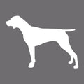 German Shorthaired Pointer Embroidered AKC Men's Polo