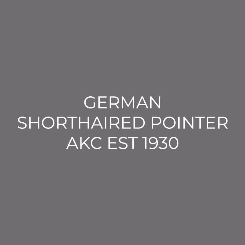 German Shorthaired Pointer Embroidered AKC Men's Polo