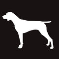 German Shorthaired Pointer AKC Embroidered Visor