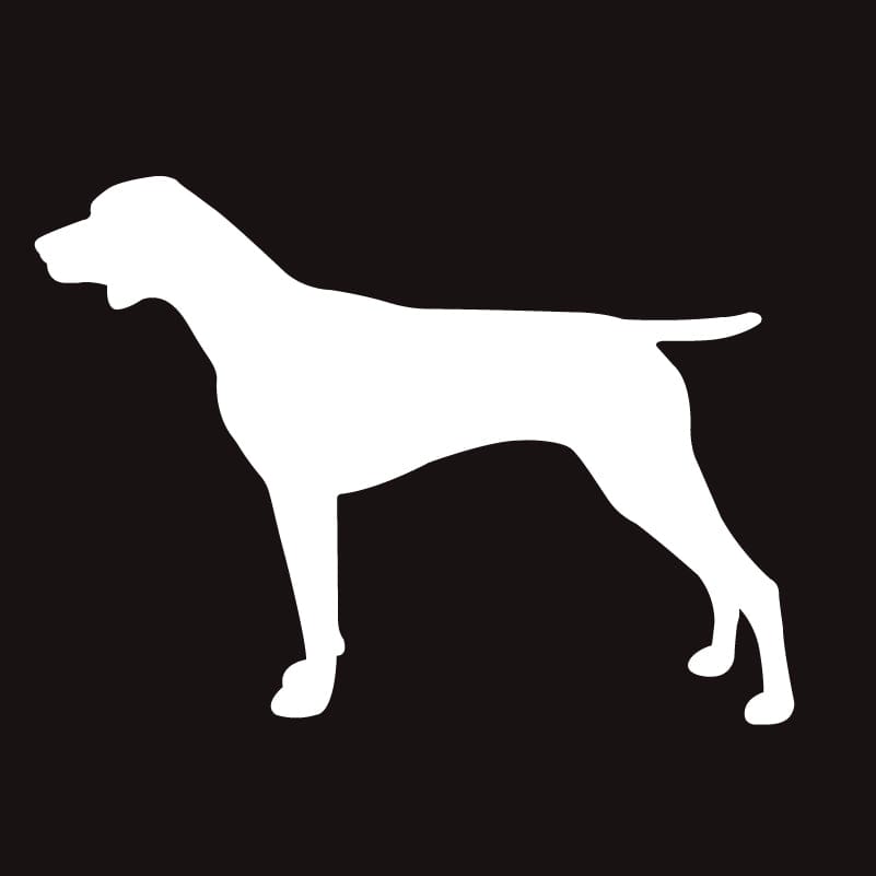 German Shorthaired Pointer AKC Embroidered Visor