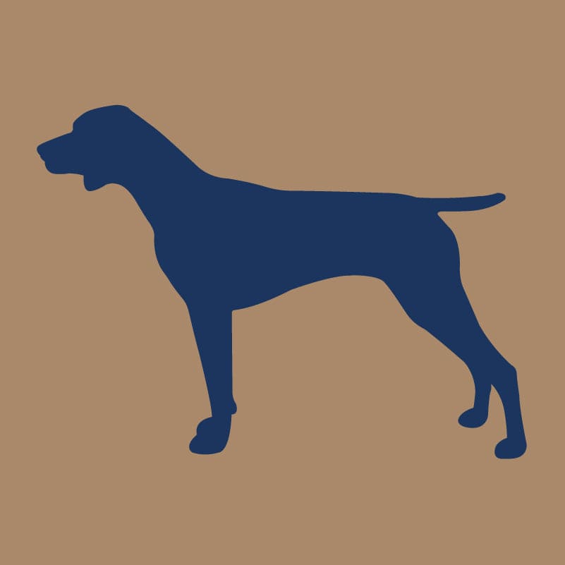 German Shorthaired Pointer AKC Embroidered Visor