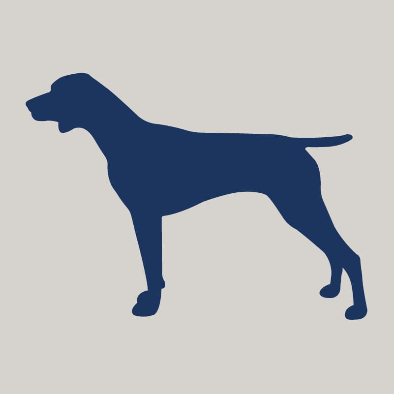 German Shorthaired Pointer AKC Embroidered Visor