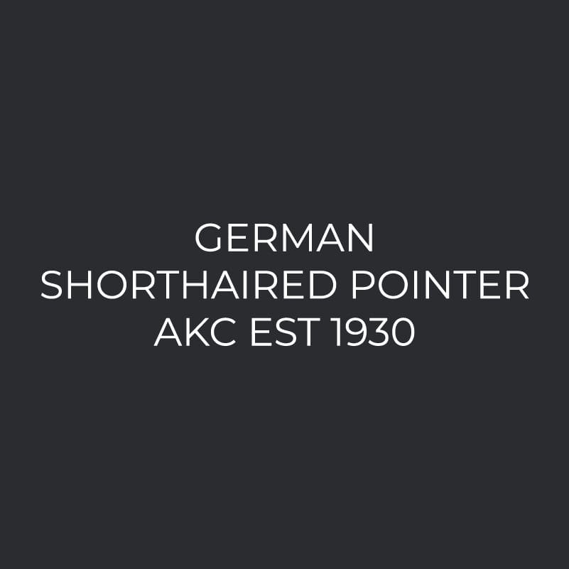 German Shorthaired Pointer Embroidered AKC Women's Polo