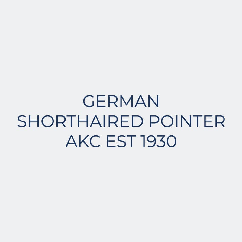 German Shorthaired Pointer Embroidered AKC Women's Polo