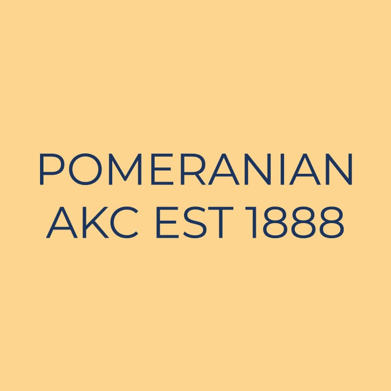 Pomeranian Embroidered AKC Quarter Zip