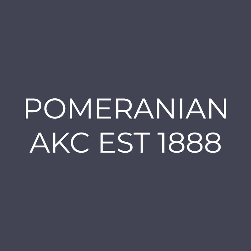 Pomeranian Embroidered AKC Quarter Zip