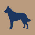 Belgian Malinois AKC Embroidered Visor