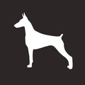 Doberman Pinscher AKC Embroidered Visor