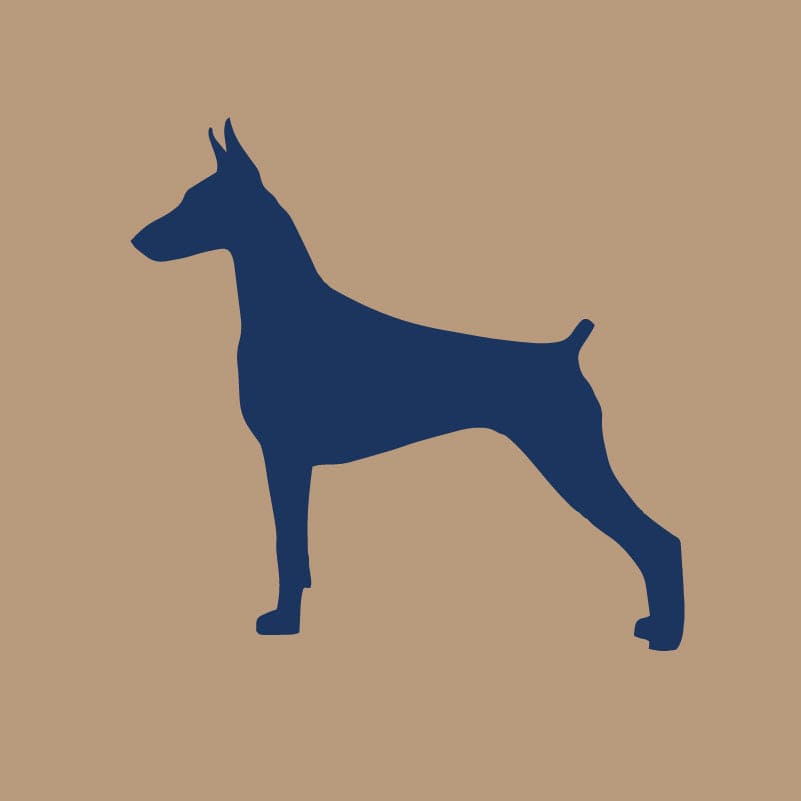 Doberman Pinscher AKC Embroidered Visor