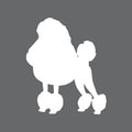 Poodle Toddler Full Zip Sweatshirt