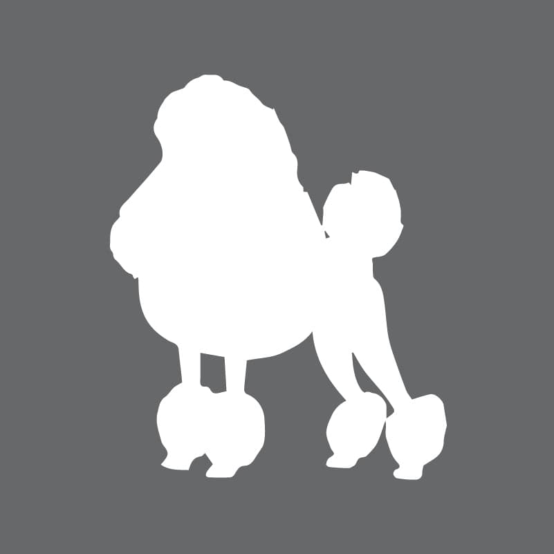 Poodle Toddler Full Zip Sweatshirt