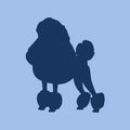Poodle Toddler Full Zip Sweatshirt