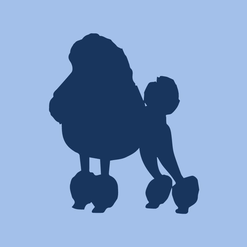 Poodle Toddler Full Zip Sweatshirt