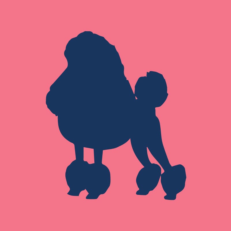 Poodle Toddler Full Zip Sweatshirt