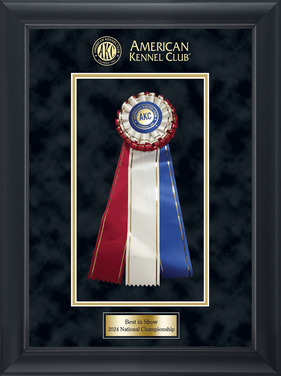 American Kennel Club AKC Rosette Award Shadow Box Frame