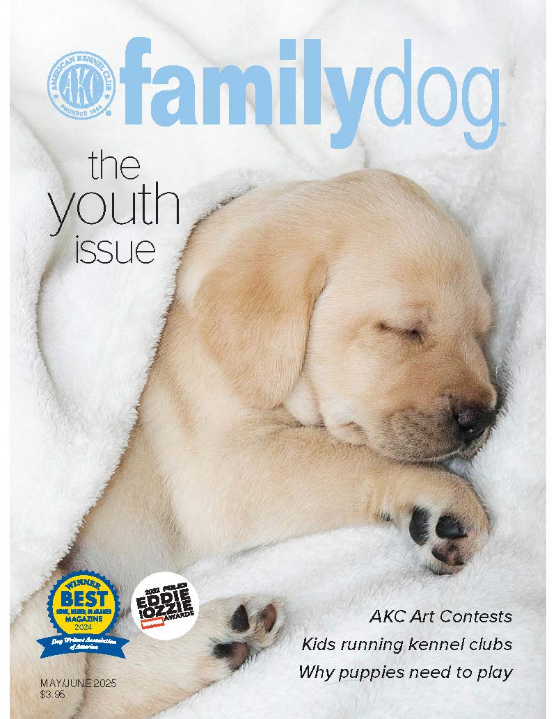 AKC Family Dog Magazine Single Issue (Digital)
