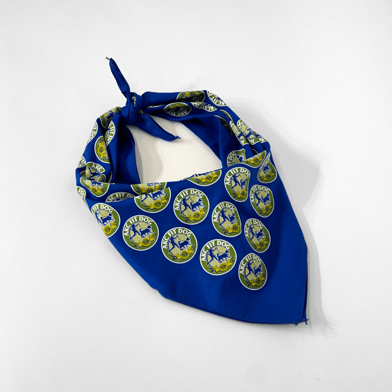 Blue Fit Dog Bandana