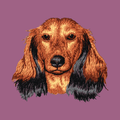 Dachshund Embroidered Classic Long Sleeve Shirt