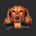 Dachshund Embroidered Classic Long Sleeve Shirt