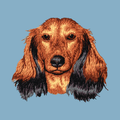 Dachshund Embroidered Classic Long Sleeve Shirt