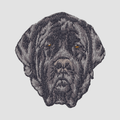 Mastiff Embroidered Classic Long Sleeve Shirt