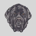 Mastiff Embroidered Mock Neck Sweatshirt